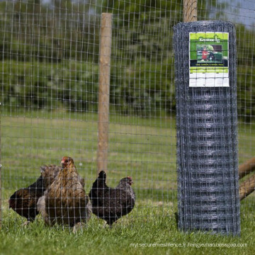 Clôture pour bovins en gros en gros